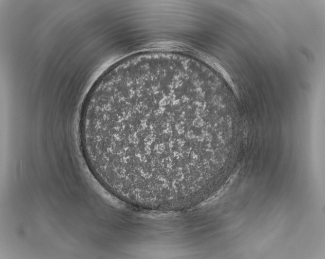 X0000111051091200907161400