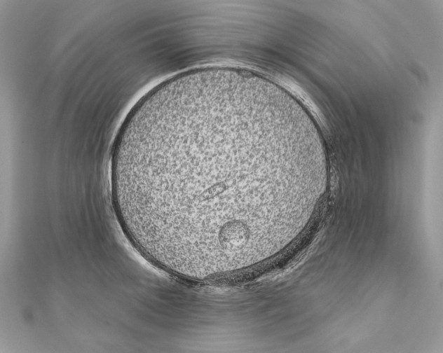 X0000111051092200907161400