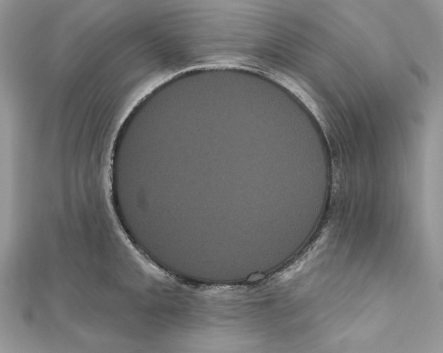 X0000111051093200907161400