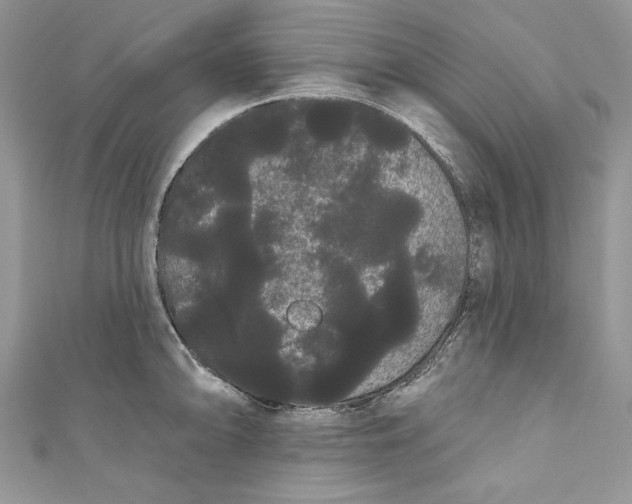 X0000111051094200907161400