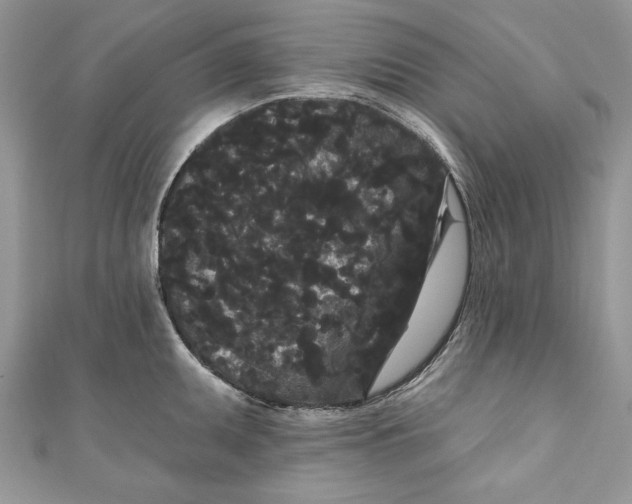 X0000111051095200907161400