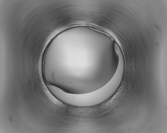 X0000111051098200907161400