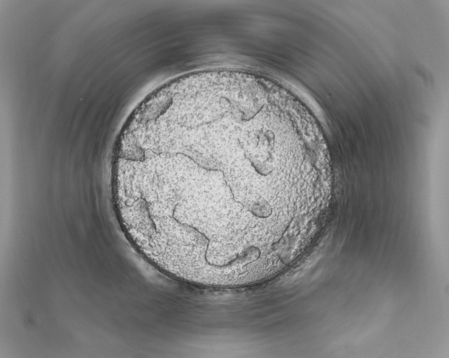 X0000111051099200907161400