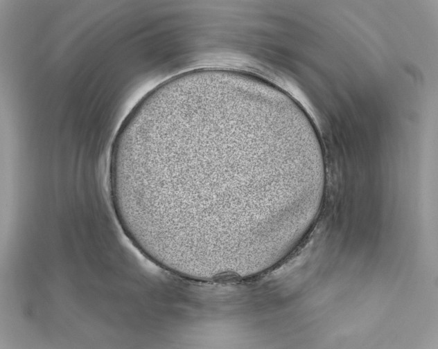 X0000111051103200907161400