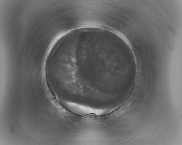 X0000111051104200907161400