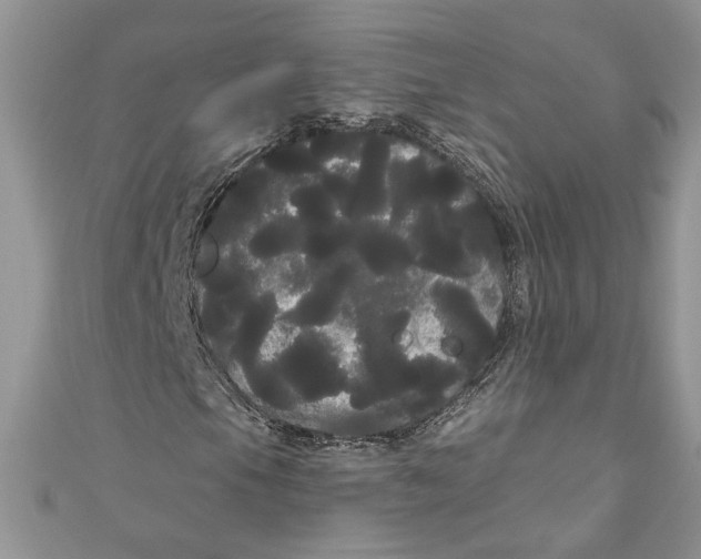 X0000111051105200907161359