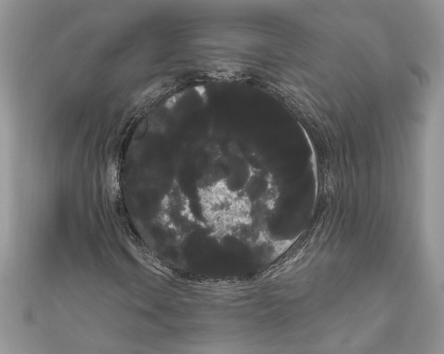 X0000111051106200907161359