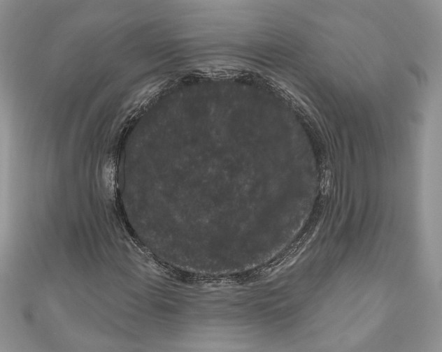 X0000111051108200907161359