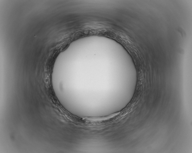 X0000111051109200907161359