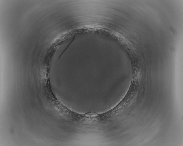 X0000111051110200907161359