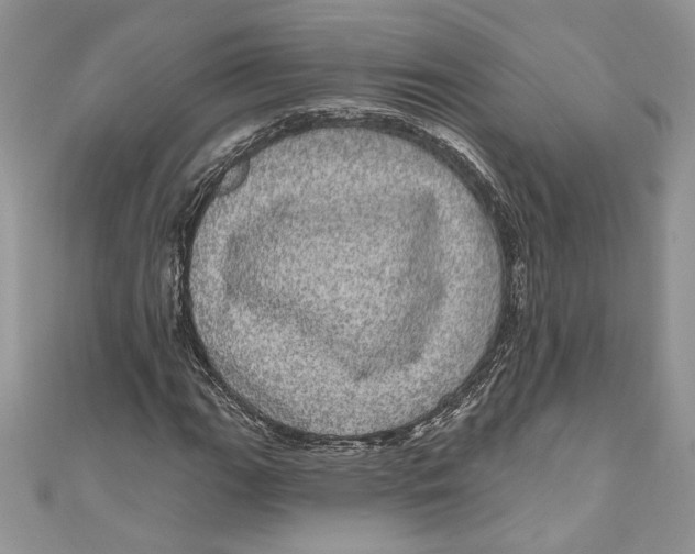 X0000111051111200907161359