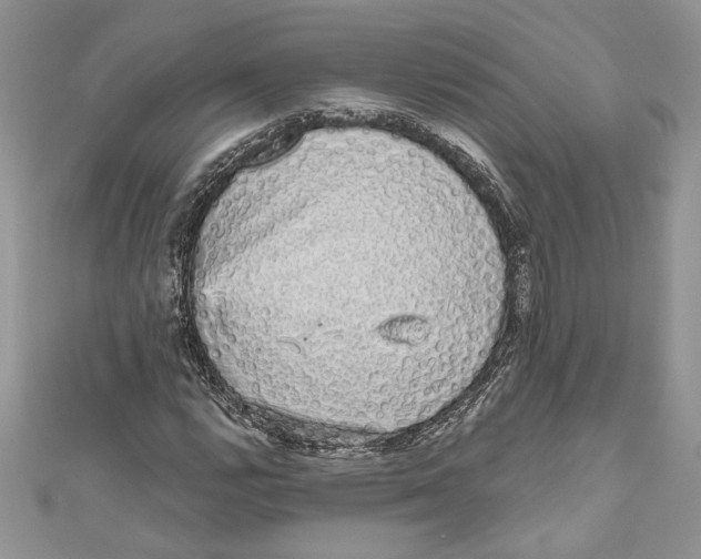 X0000111051112200907161359