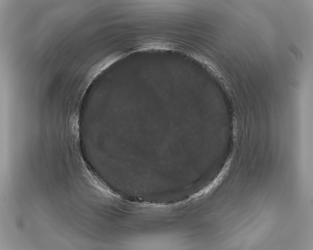 X0000111051113200907161359