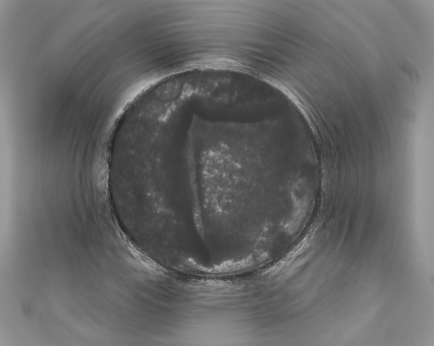 X0000111051115200907161359