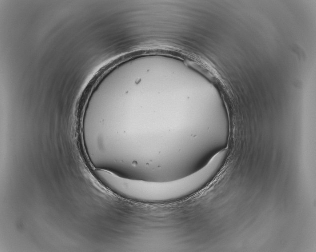 X0000111051116200907161359