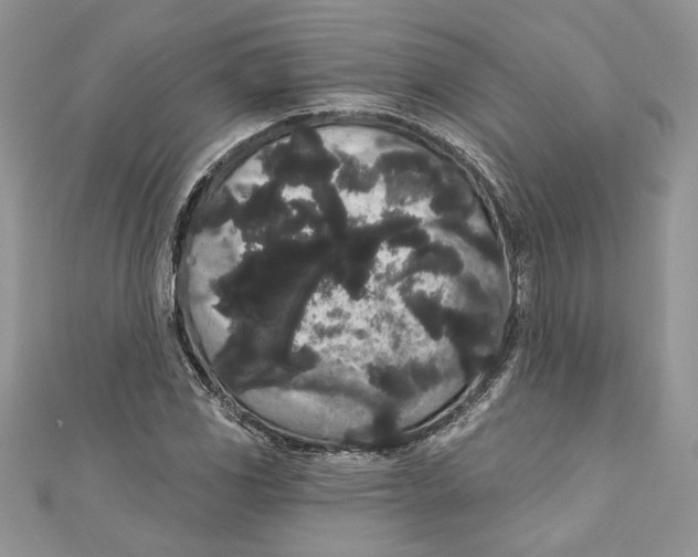 X0000111051117200907161359