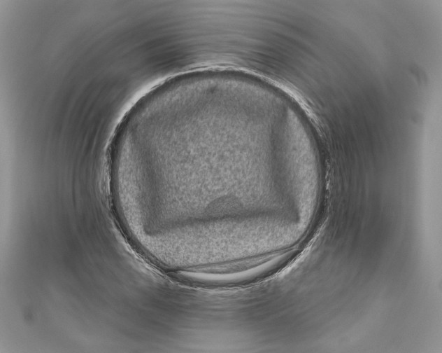 X0000111051118200907161359