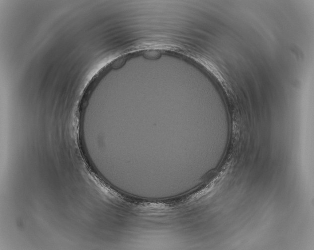 X0000111051119200907161359