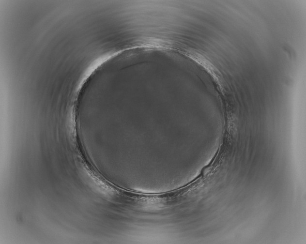 X0000111051120200907161359