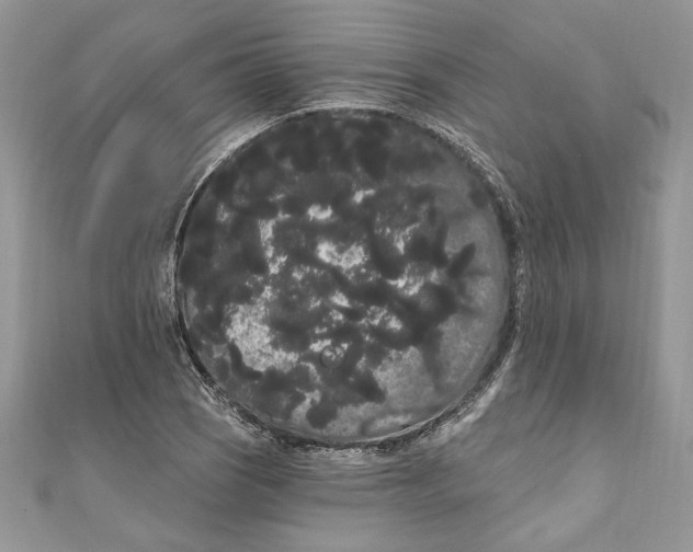 X0000111051121200907161359