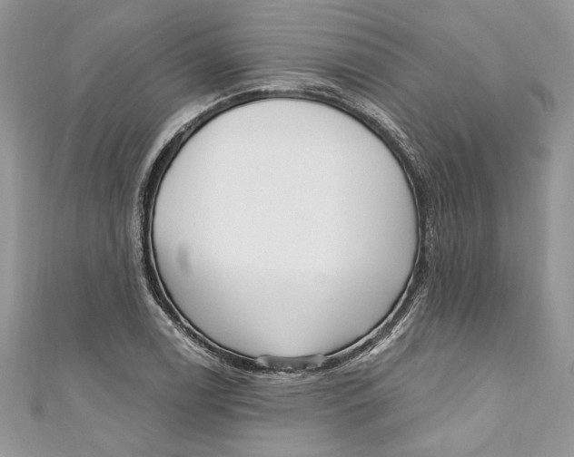 X0000111051122200907161359