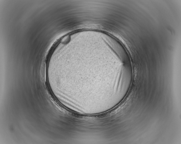 X0000111051123200907161359