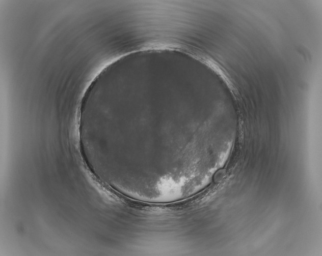 X0000111051124200907161359