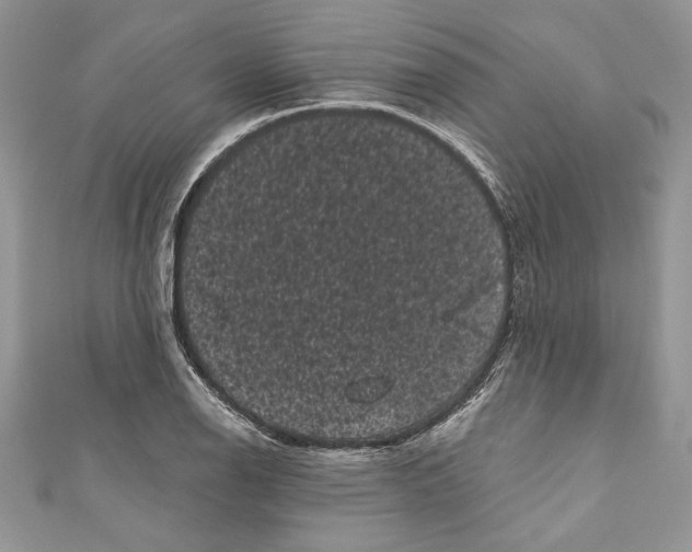 X0000111051126200907161359