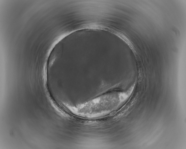 X0000111051128200907161400