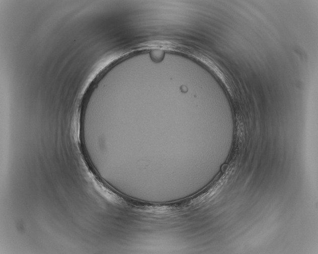 X0000111051131200907161400