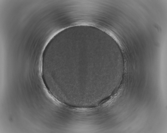 X0000111051132200907161400