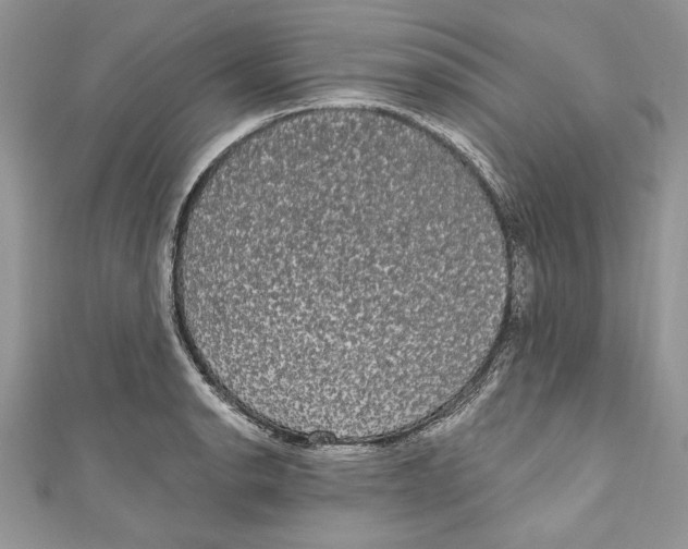 X0000111051134200907161400