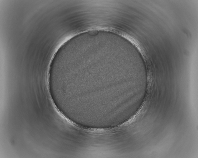 X0000111051135200907161400