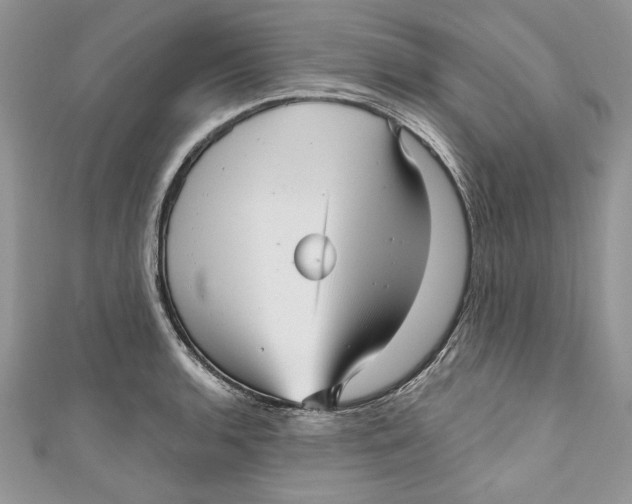 X0000111051136200907161400