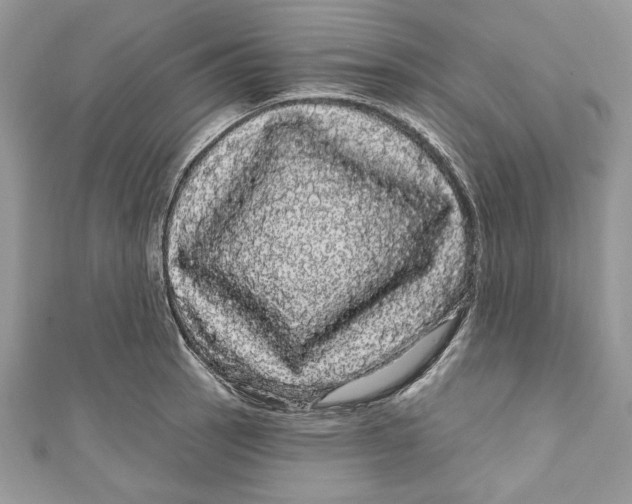 X0000111051137200907161400