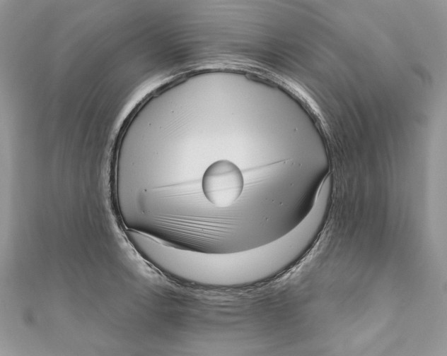 X0000111051138200907161400