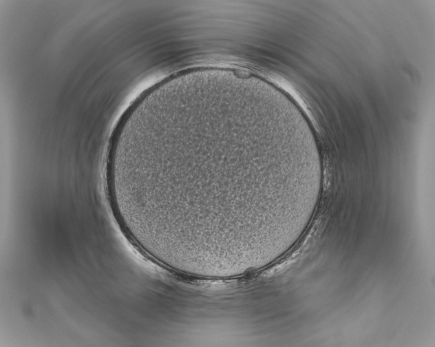 X0000111051139200907161400