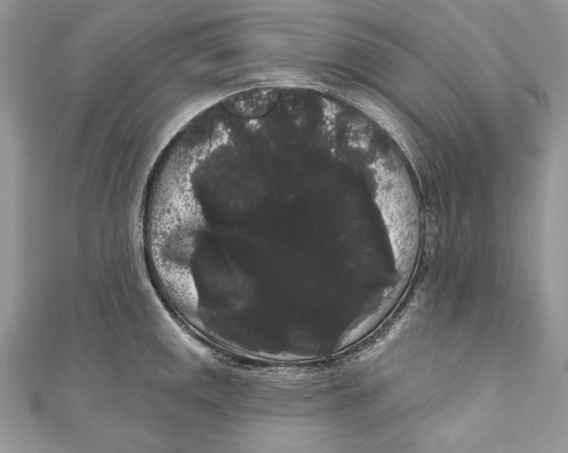 X0000111051141200907161400