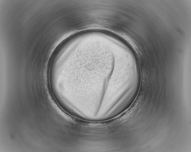 X0000111051142200907161400