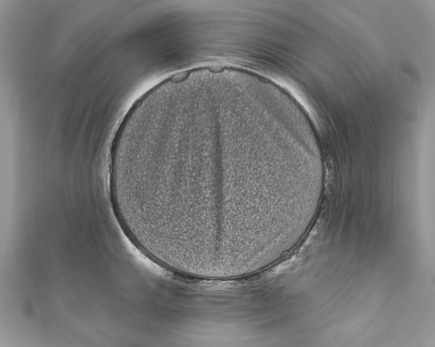 X0000111051143200907161400