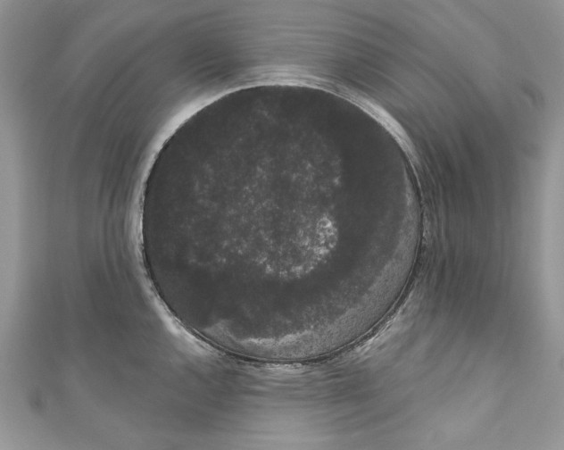 X0000111051144200907161400