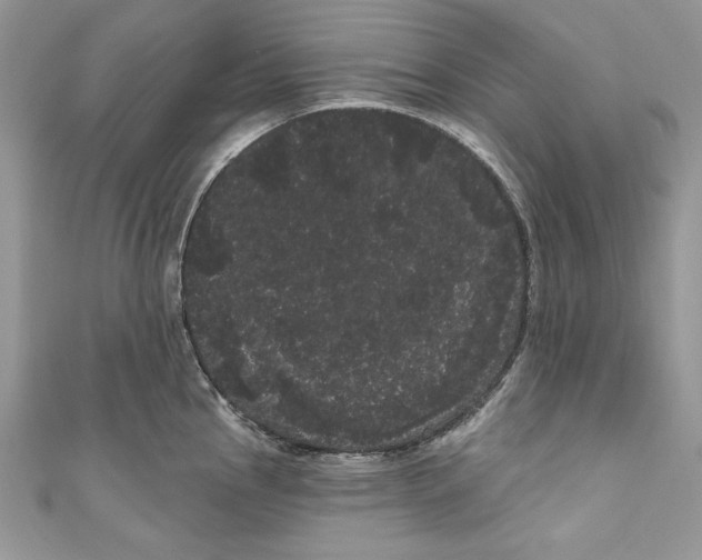 X0000111051145200907161400