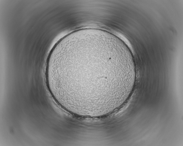 X0000111051146200907161400