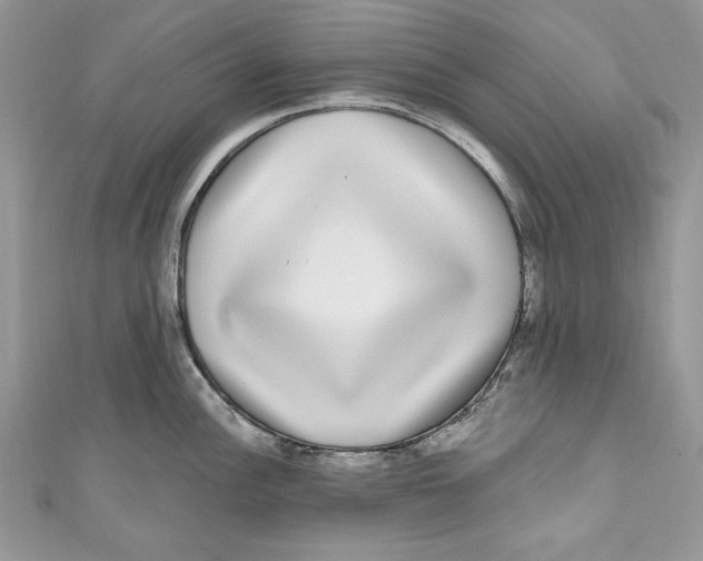 X0000111051148200907161400