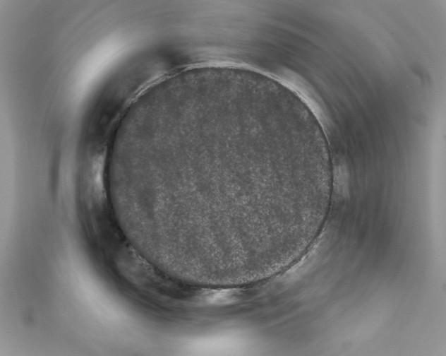 X0000111051150200907161400