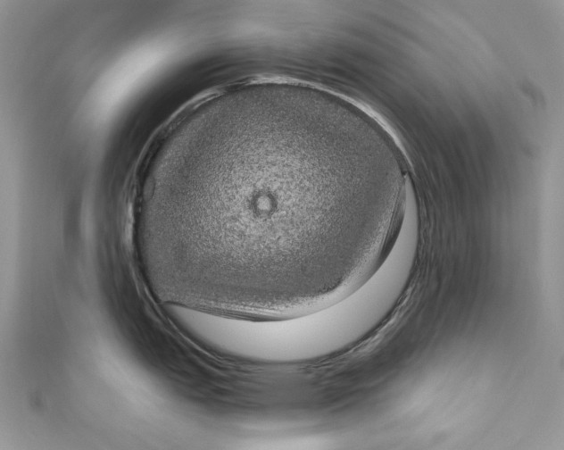 X0000111051151200907161400