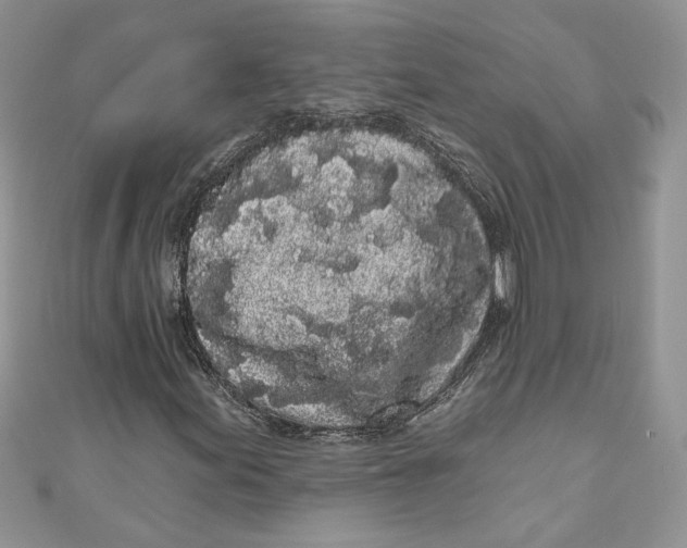 X0000111051155200907161359