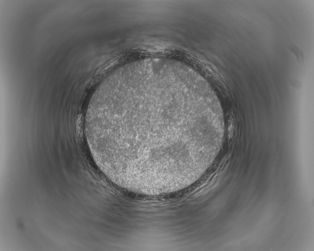 X0000111051156200907161359