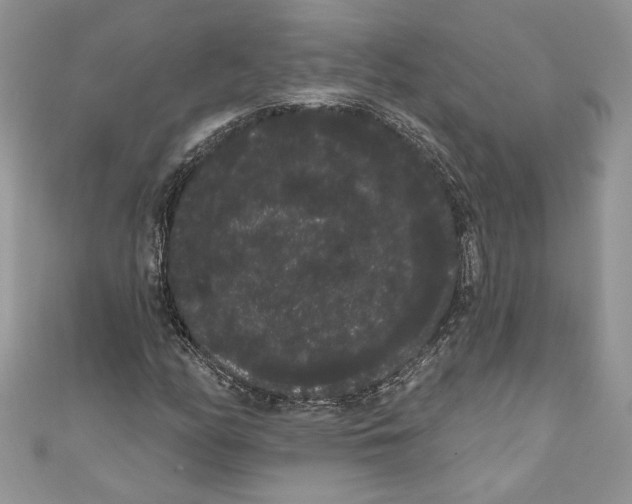 X0000111051158200907161359