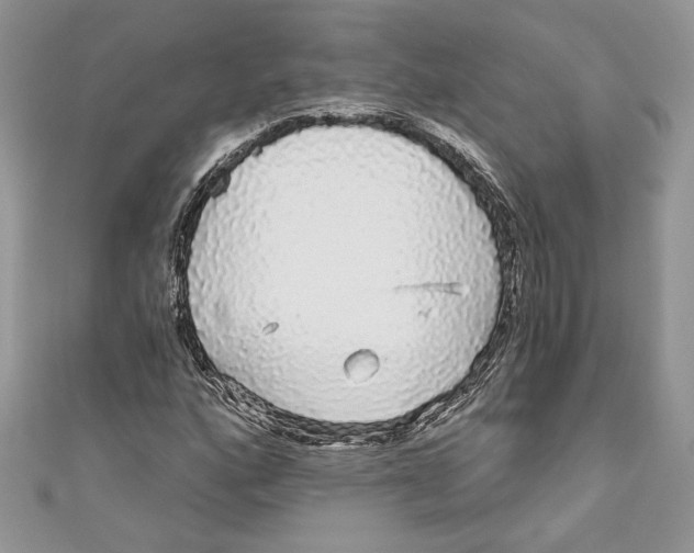 X0000111051160200907161359